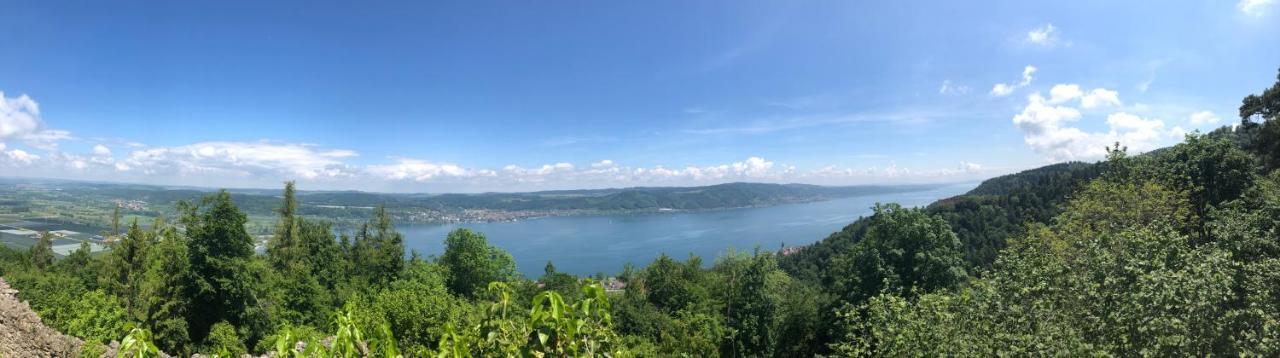 Apartment Haid Bodensee, Umgebung Bodman-ludwigshafen, Radolfzell, Ueberlingen, Luxus Haid